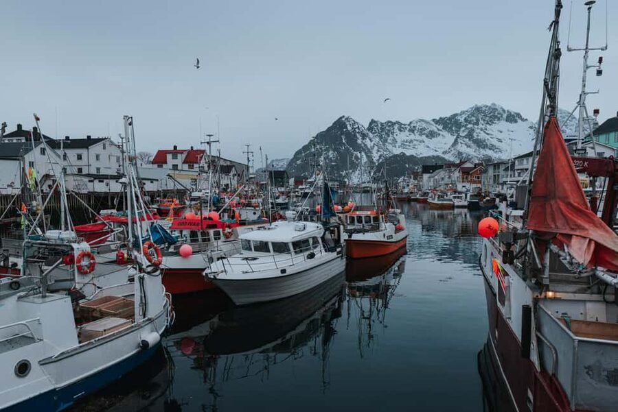 Svolvær: Lofoten Scenic Sightseeing Tour: Half day tour - Gimsøya brings bigger views