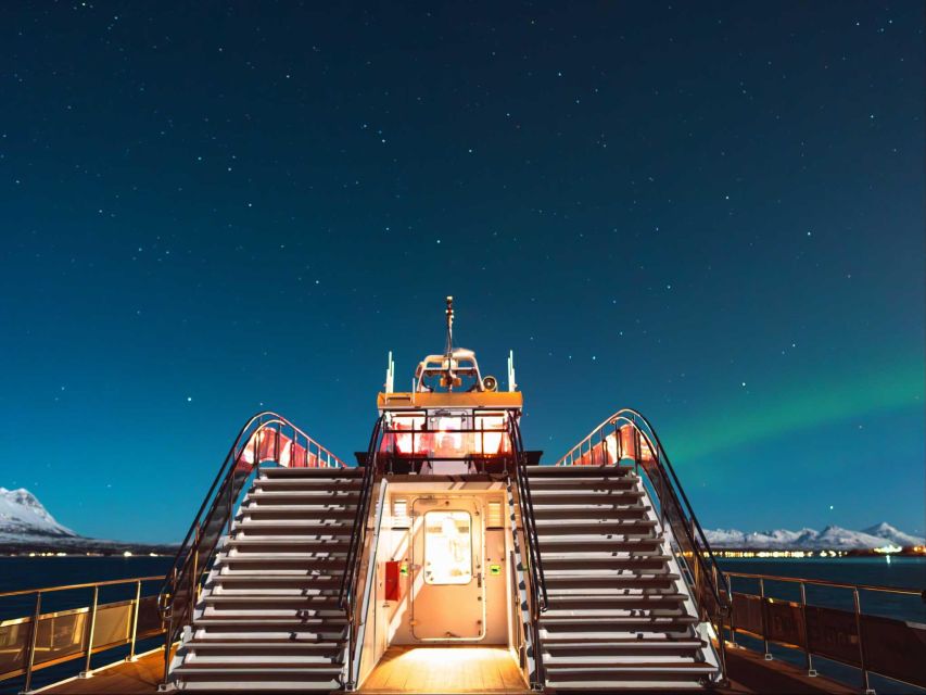 Svolvær: Northern Lights and Full Steam Cruise with Tasting - Who will enjoy this trip most?