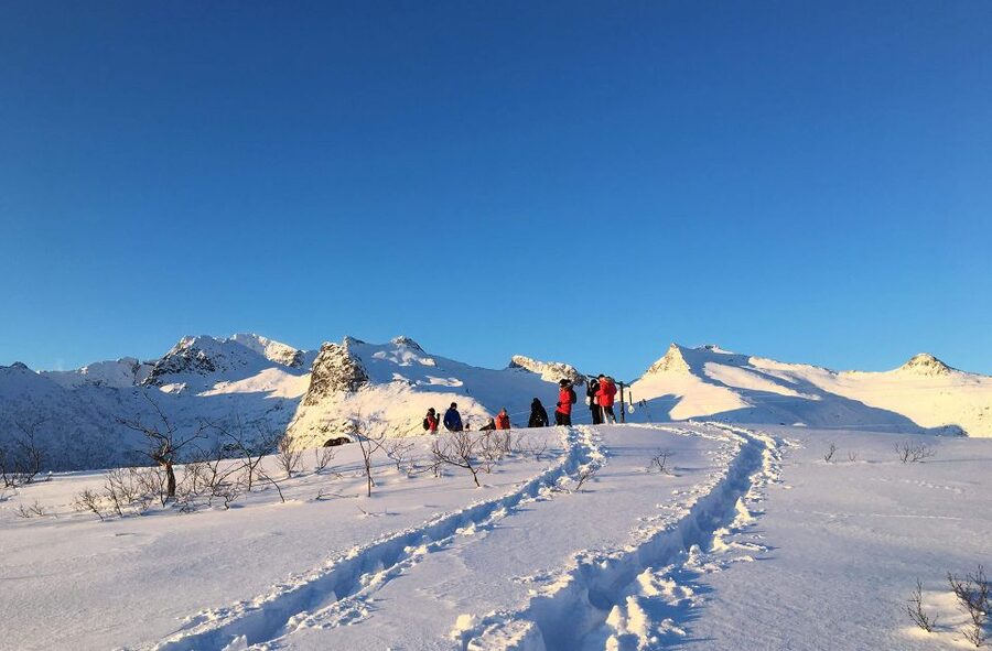 Svolvær: Snowshoe Nature Explorer - Starting beside Svolvær’s harbour