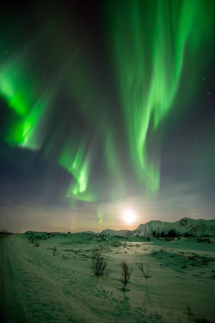 Svolvær: Ultimate Aurora Hunt - Practical details that affect your decision
