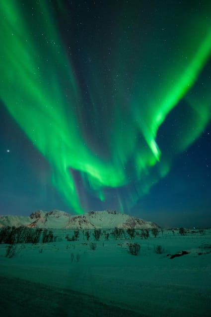 Svolvær: Ultimate Aurora Hunt - Photography help for beginners and serious camera users