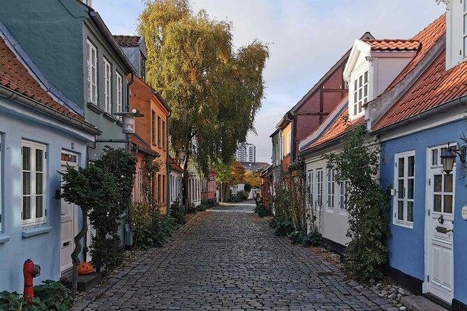 The Ancient Viking Stronghold of Aros: A Self-Guided Audio Tour in Aarhus - The Viking Museum: A Choice, Not a Scheduled Visit