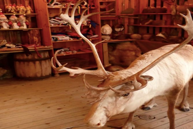 The North Cape, Reindeer and Sami Families Tour - The biggest concern: meeting points and bus control