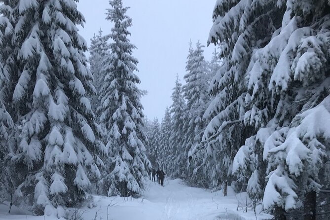 The Ultimate Norwegian Skiing Experience - The $112.60 price and what you receive