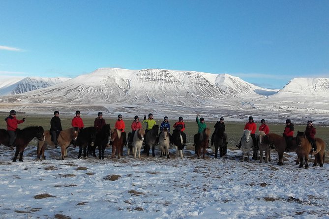 The Viking Horse Riding Experience in North Iceland - Why this horse ride feels different from a standard trail outing