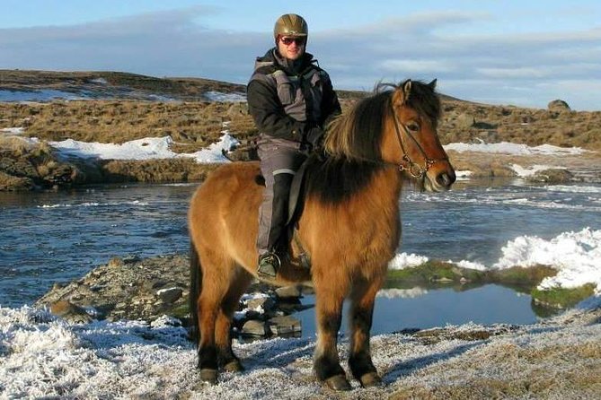 The Viking Horse Riding Experience in North Iceland - Learning the tölt without pressure