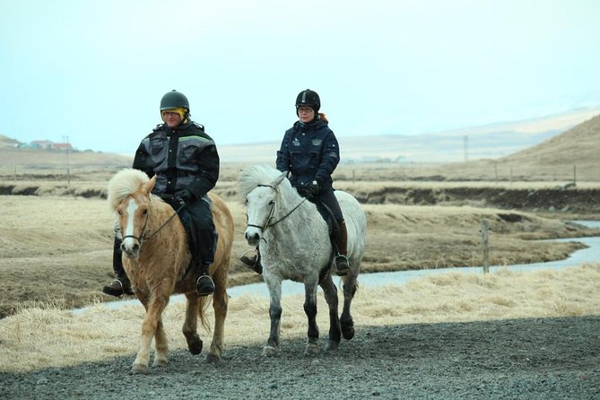 The Viking Horse Riding Experience in North Iceland - What the guides add to the experience
