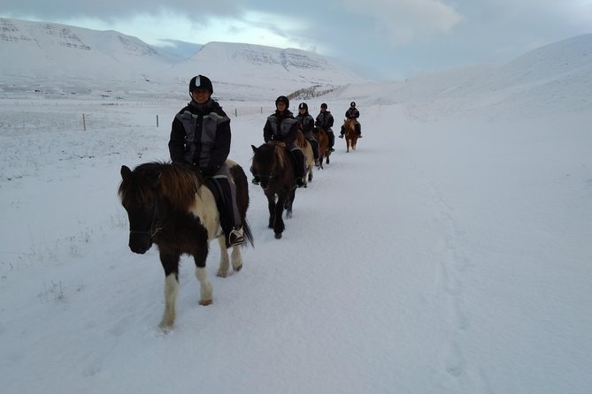 The Viking Horse Riding Experience in North Iceland - Clothing and weather: plan for the saddle, not the forecast