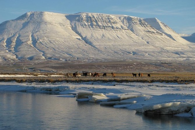 The Viking Horse Riding Experience in North Iceland - At Hestasport Reception in Varmahlíð