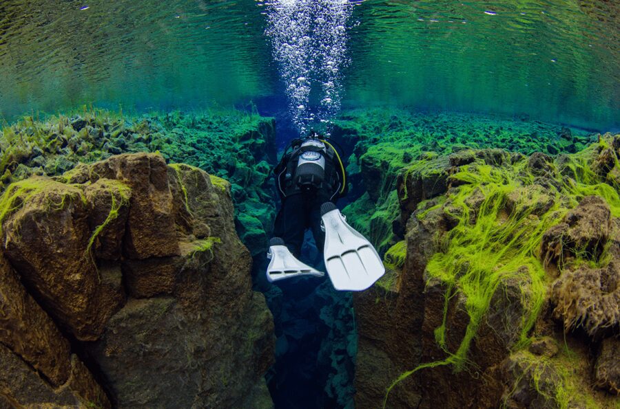 Thingvellir: Silfra Fissure Diving with Optional Pickup - Guides and the quality of the experience