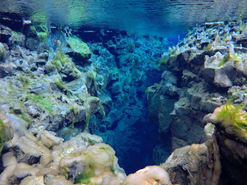 Thingvellir: Silfra Freedive Adevnture with a Guide - Entering Silfra by the staircase