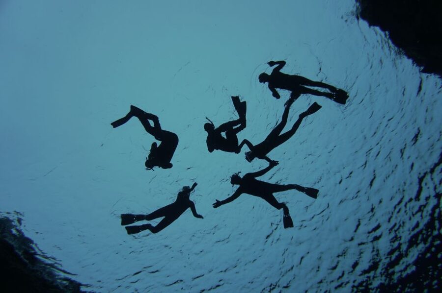 Thingvellir: Silfra Freedive Adevnture with a Guide - Who will enjoy this most