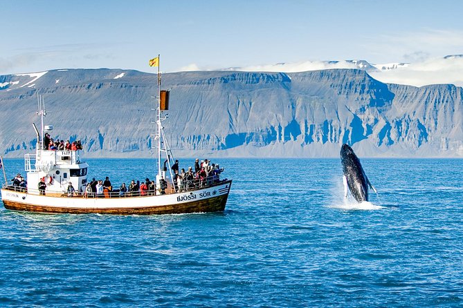 Traditional Oak Ship Whale Watching Tour From Husavik - Crowds, comfort, and the best place to stand