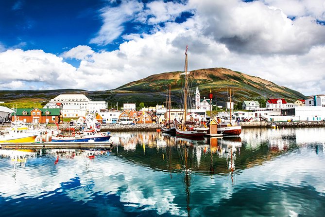 Traditional Oak Ship Whale Watching Tour From Husavik - Morning, afternoon, or evening: choosing your departure