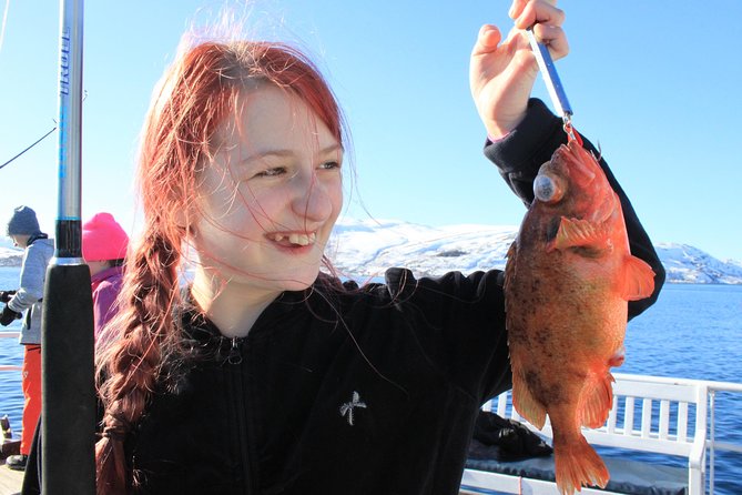 Tromsø: Arctic Fjord Cruise & Fishing Experience - A five-hour fjord day from central Tromsø