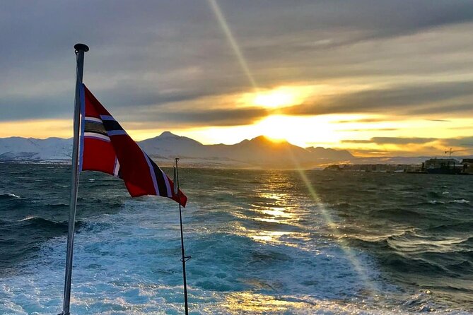 Tromsø: Arctic Fjord Cruise & Fishing Experience - Who will enjoy this boat trip most?