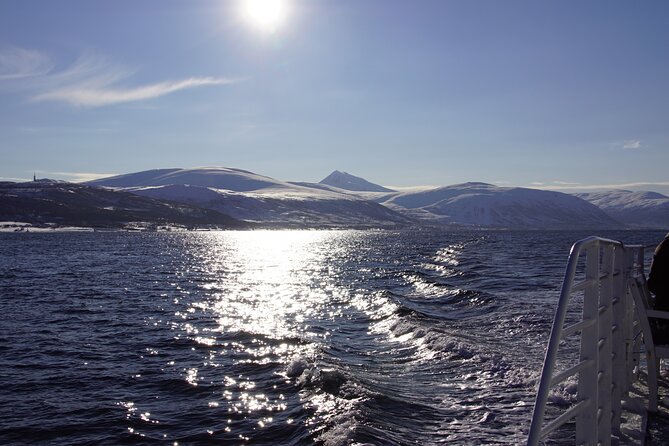 Tromsø: Arctic Fjord Cruise & Fishing Experience - Practical details before you book
