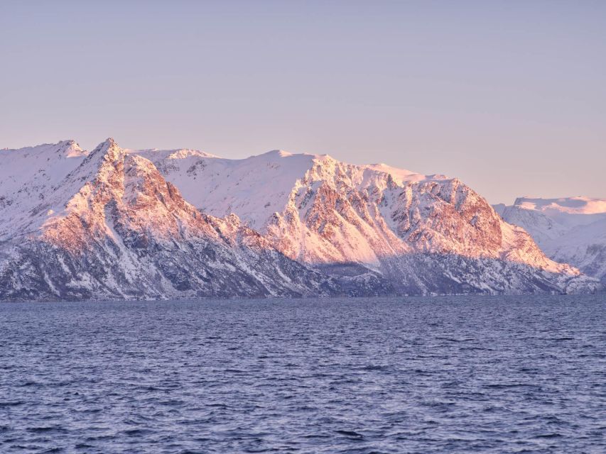 Tromsø: Arctic Fjord Cruise in Polar Landscapes - Who will enjoy this fjord cruise most?