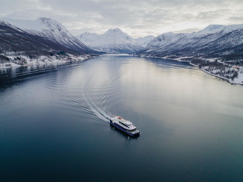 Tromsø: Arctic Fjord Cruise in Polar Landscapes - Wildlife watching with Daniel, Jana, and the crew