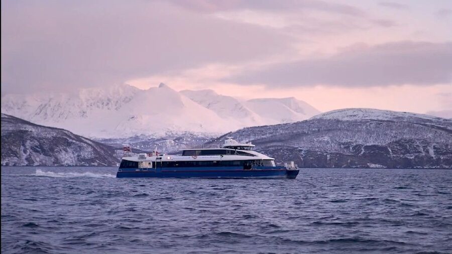 Tromsø: Arctic Fjord Cruise in Polar Landscapes - Photography help that is actually useful