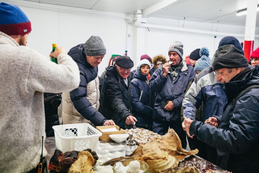 Tromsø: Arctic Fjord Cruise With Stop On Land At Fish Racks - Store Grindoya and Tirpitz-platen