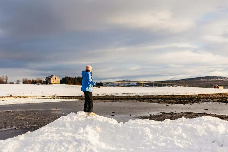 Tromsø: Arctic Landscape and Fjord Tour with Snacks - Who should book this Tromsø fjord tour?