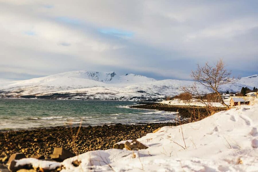 Tromsø: Arctic Landscape and Fjord Tour with Snacks - Karigambukta and the hot chocolate stop