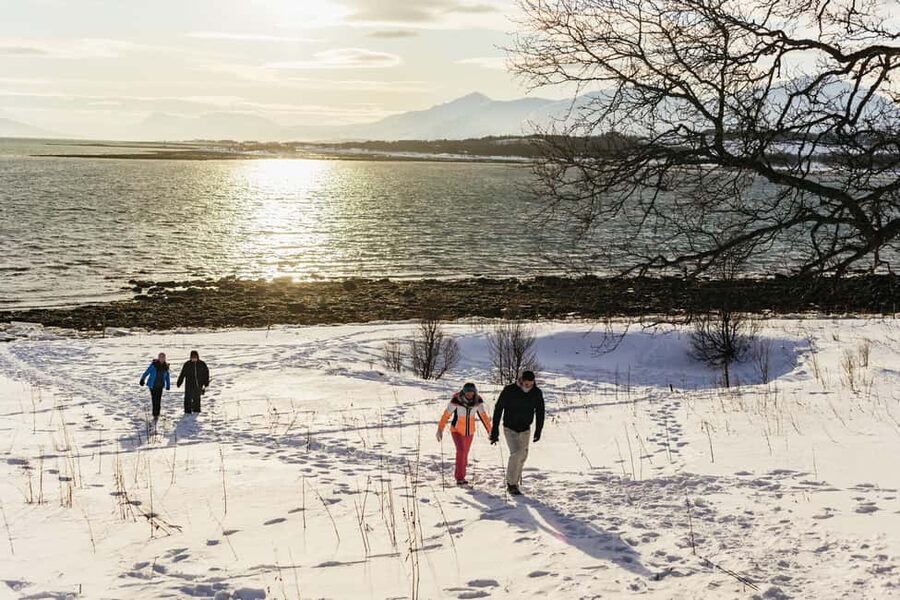 Tromsø: Arctic Landscape and Fjord Tour with Snacks - What the guide adds to the day