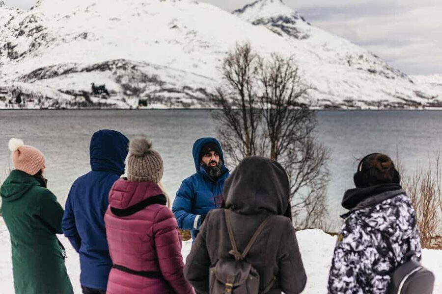 Tromsø: Arctic Landscape and Fjord Tour with Snacks - Comfort, clothing, and practical limits