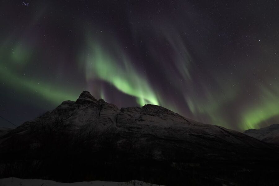 Tromsø: Aurora Borealis, Campfire, Hot Meal, Arctic Tour - Is the $251 price fair?