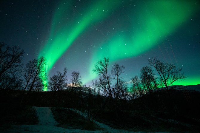 Tromso Aurora Chase by Minibus with Thermal Suit, Snack and Photo - The real value of the $189.25 price
