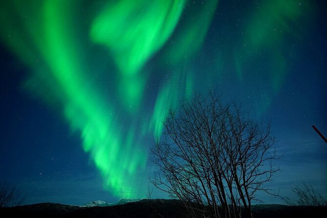 Tromso Aurora Chase by Minibus with Thermal Suit, Snack and Photo - Hansnes, Sommarøy, Bardufoss, and Kilpisjärvi