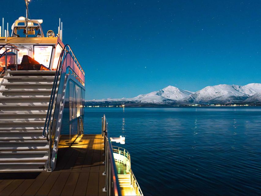 Tromsø: Aurora Dinner Cruise by Hybrid-Electric Catamaran - Key points to know before booking