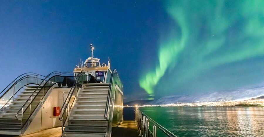 Tromsø: Aurora Dinner Cruise by Hybrid-Electric Catamaran - What the three-hour meal is really like