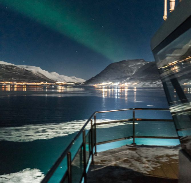 Tromsø: Aurora Dinner Cruise by Hybrid-Electric Catamaran - Finding the Aurora from a moving boat