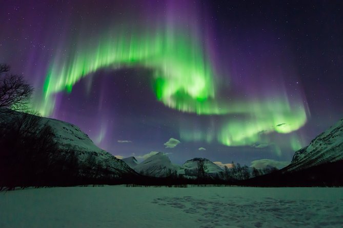 Tromso Aurora Hunt with Bonfire, Soup, Winter Gear & Transfers - Group size, comfort, and the value of $226.72