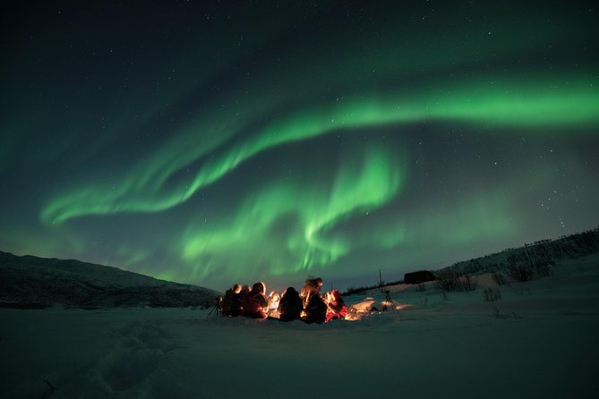 Tromso Aurora Hunt with Bonfire, Soup, Winter Gear & Transfers - A campfire, soup, and a long Arctic wait