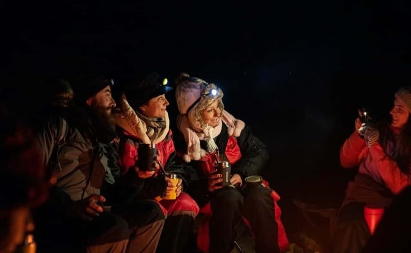 Tromsø: Aurora Hunt with Citizen Science - Key points to know before booking