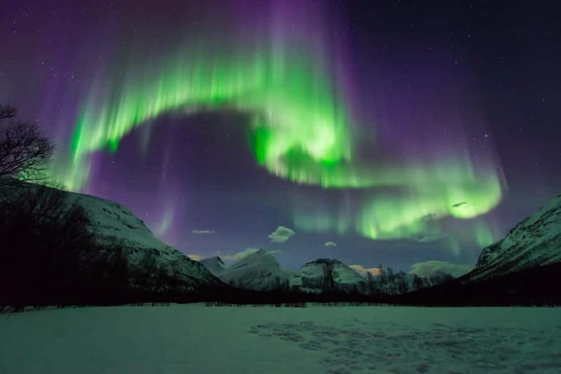 Tromsø: Aurora Hunt with Citizen Science - A northern lights hunt built around the forecast