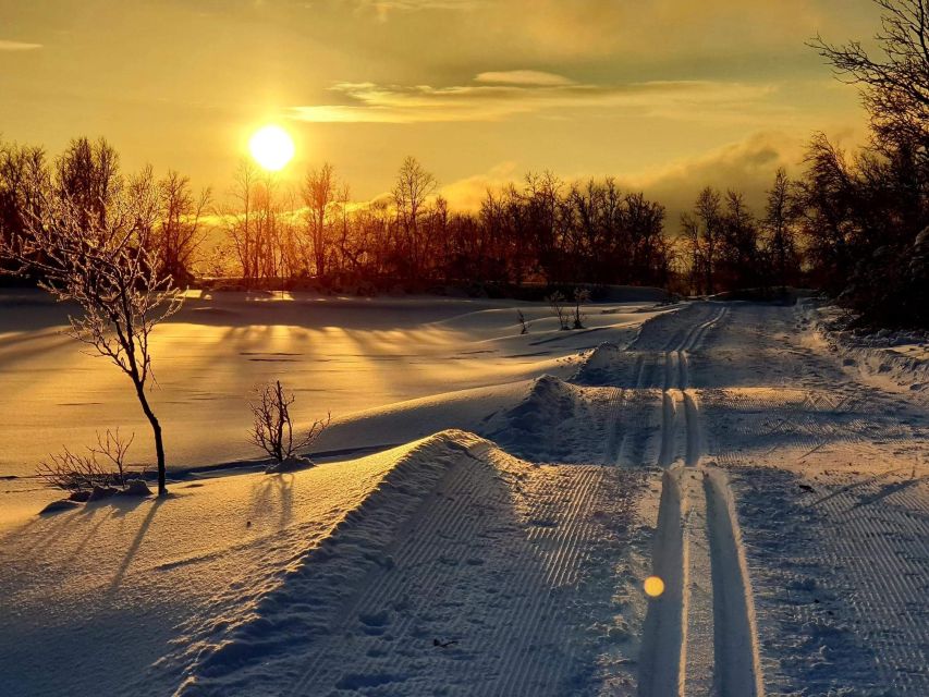 Tromsø: Cross Country Guided Skiing Course - Why this Tromsø ski lesson feels genuinely Norwegian