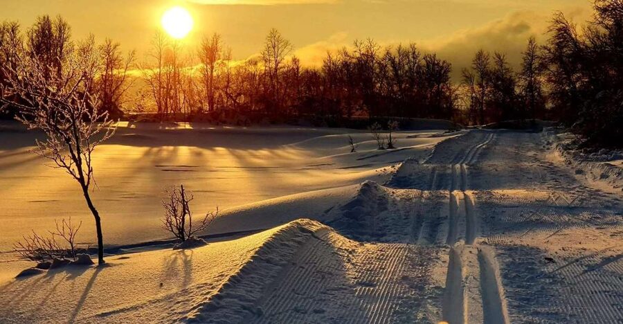 Tromsø: Cross Country Guided Skiing Course - What the guides do well
