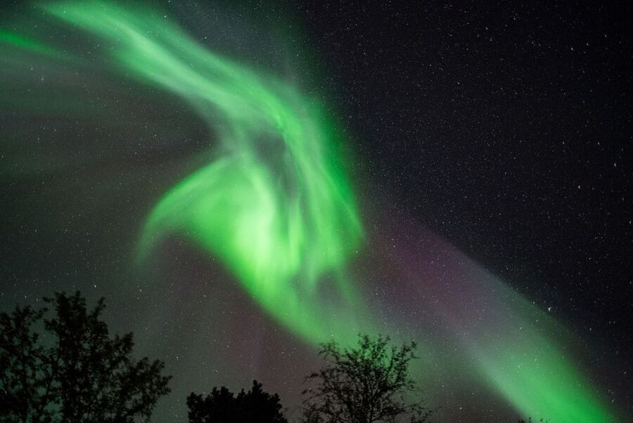 Tromsø: Evening Aurora Cruise (dinner optional) - Key points before you book