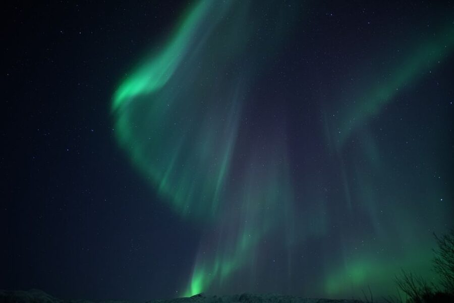 Tromsø: Evening Aurora Cruise (dinner optional) - Guides who make the waiting worthwhile