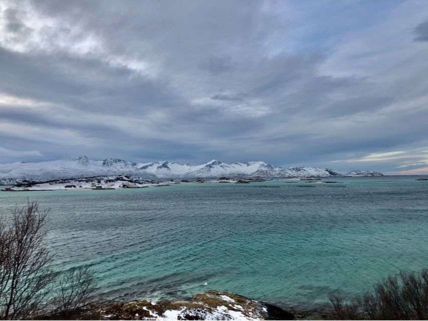 Tromsø: Fjords and Sommarøy Islands Tour with Salmon Picnic - From Tromsø to the outer islands