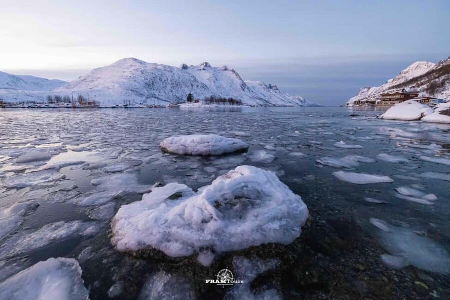Tromso: Guided Fjord Expedition in Kvaløya with Light Lunch - Short stops, useful photo advice, and wildlife watching