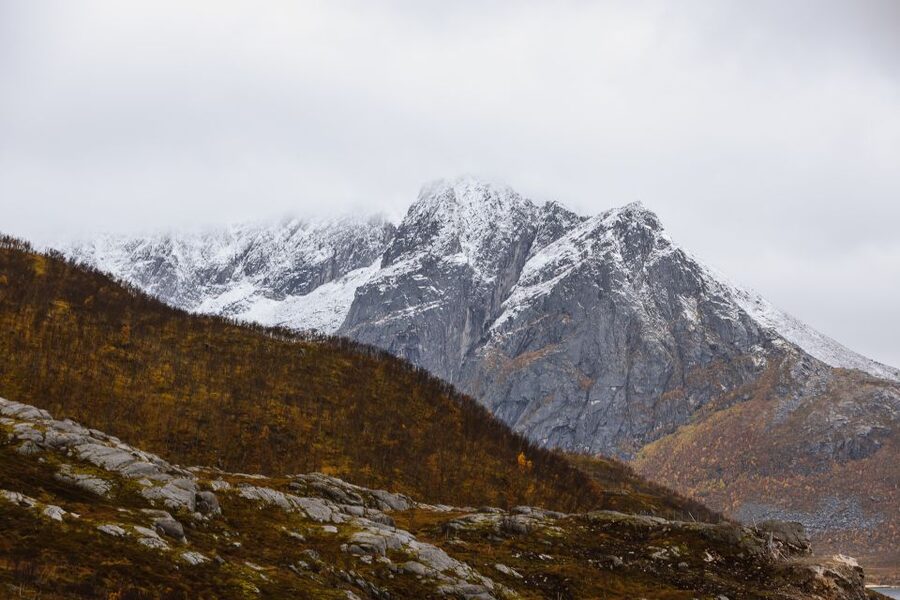 Tromso: Guided Fjord Expedition in Kvaløya with Light Lunch - Sommarøy brings wider sea views