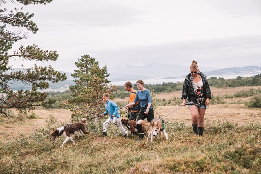 Tromsø: Husky Hike and Puppy Visit with Traditional Lunch - Why this Tromsø husky hike feels different