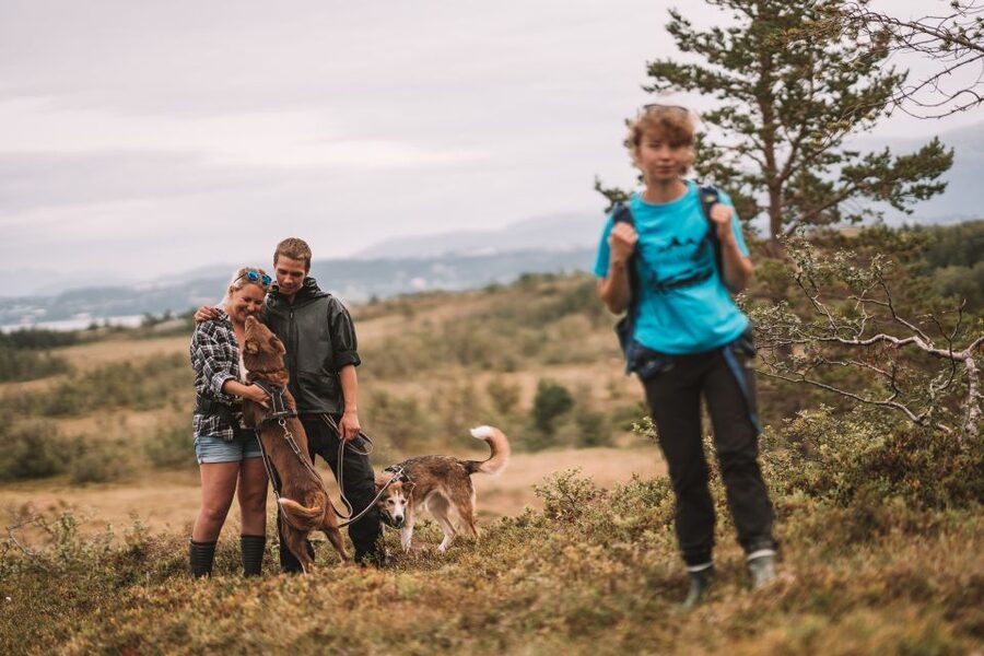 Tromsø: Husky Hike and Puppy Visit with Traditional Lunch - Practical tips for a smoother outing