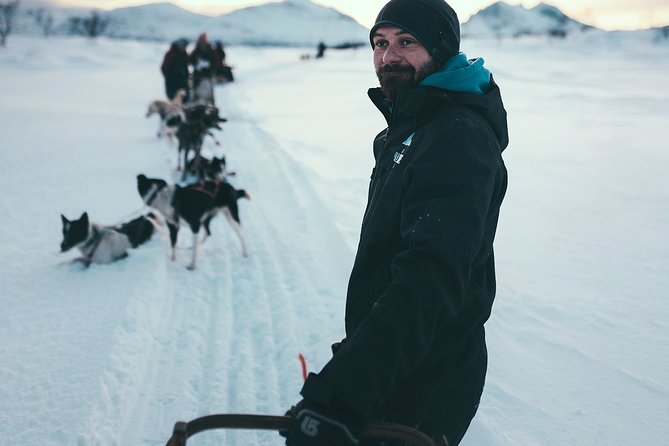 Tromso Husky Self-Drive Sledding with Cake and Drink in Lavvu - Who will enjoy this most?