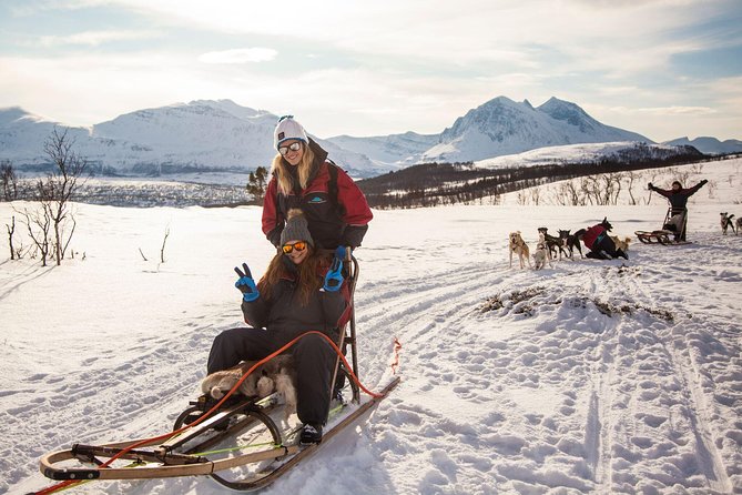 Tromso Husky Self-Drive Sledding with Cake and Drink in Lavvu - Learning to handle your own team